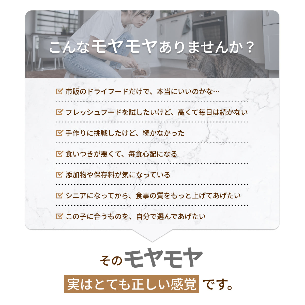 MOFMORE モフシェフ -ペット用フードメーカー-
