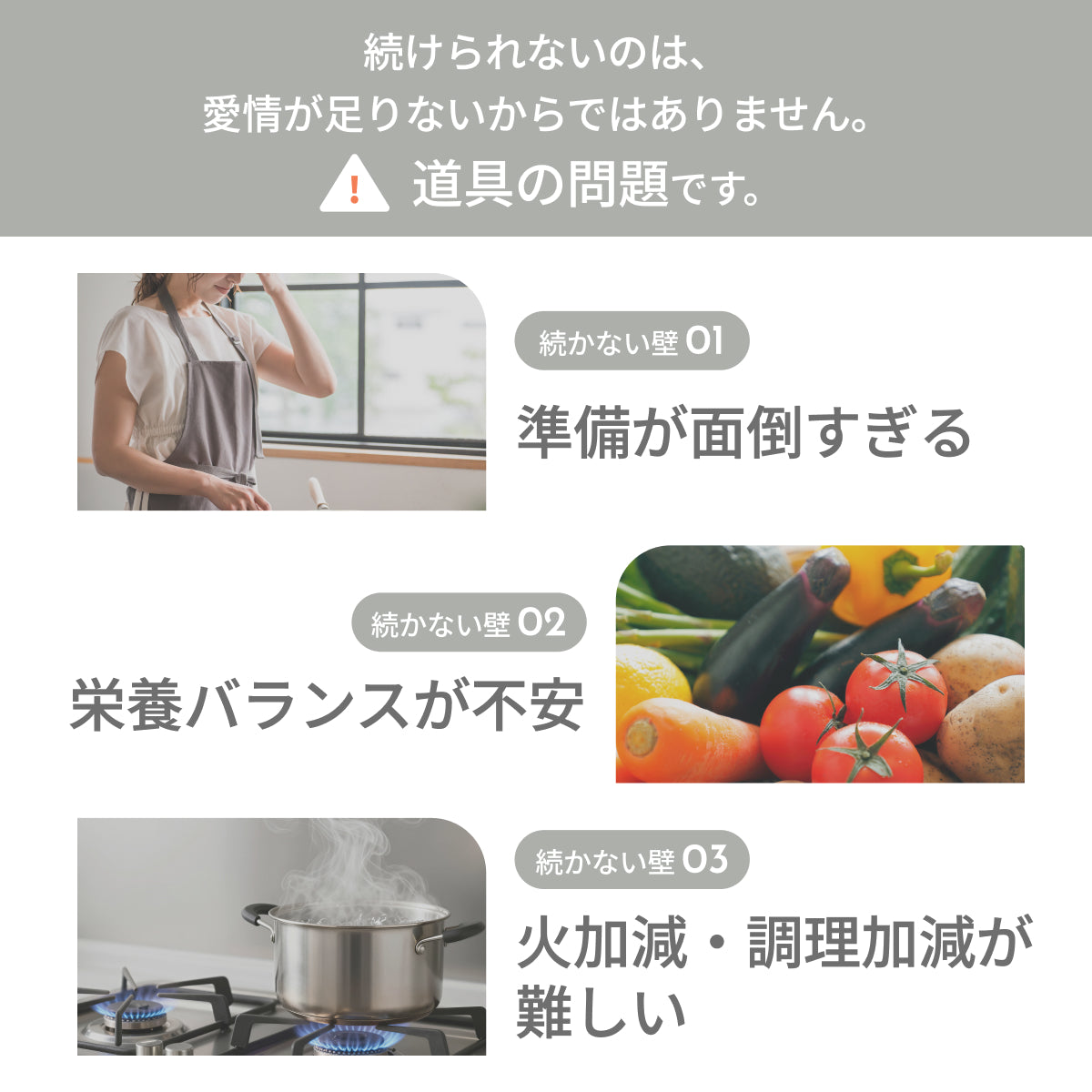 MOFMORE モフシェフ -ペット用フードメーカー-