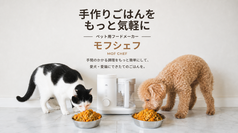 モフシェフ