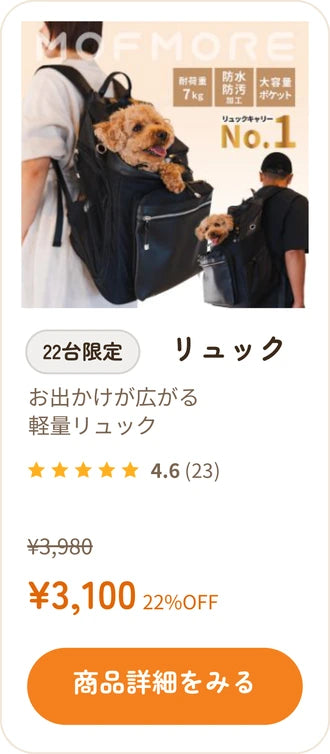 リュック