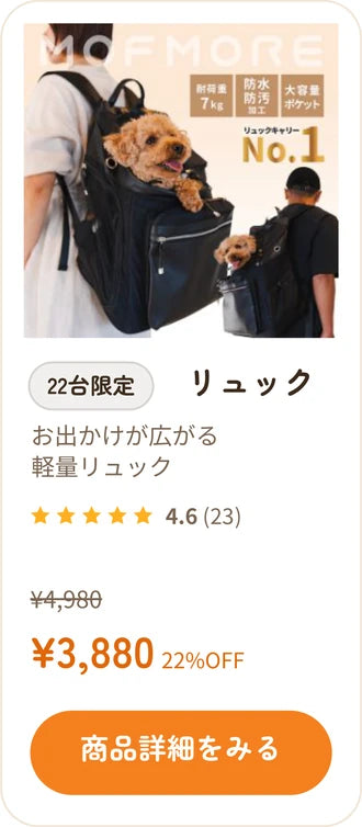 リュック